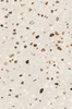 Hedsom LVT Flooring Tekrazzo HS2105002